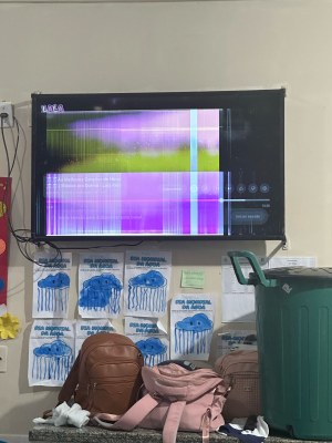 TV 