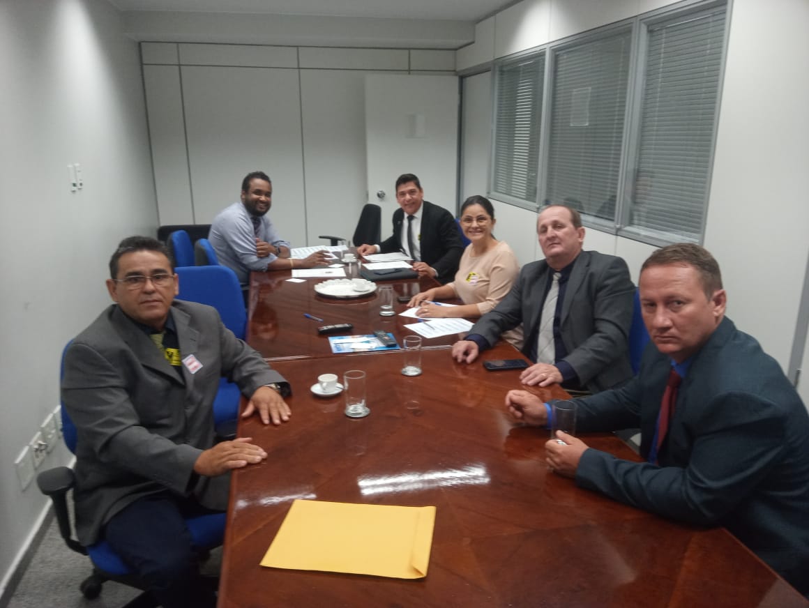 Vereadores cumprem agenda de reuniões em Brasilia-DF 